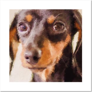 Dachshund puppy painting Posters and Art